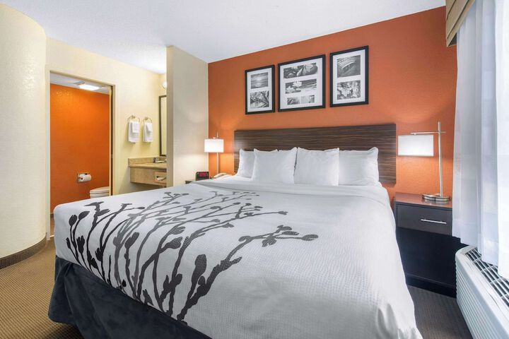 1 King Bed (4 of 8)