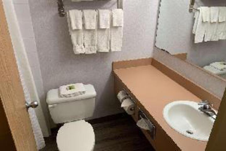 Standard Room, King or Two Doubles (4 of 7)