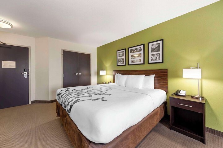 1 King Bed (16 of 38)