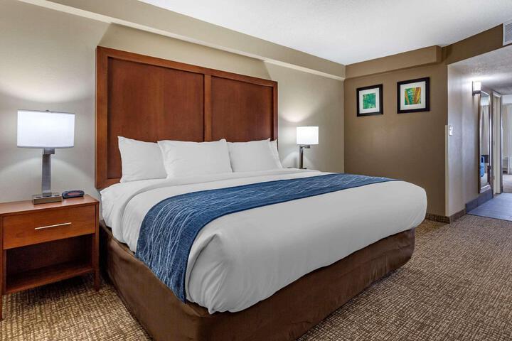 1 King Bed (10 of 18)