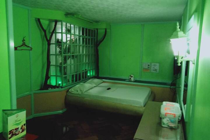 Photo 8