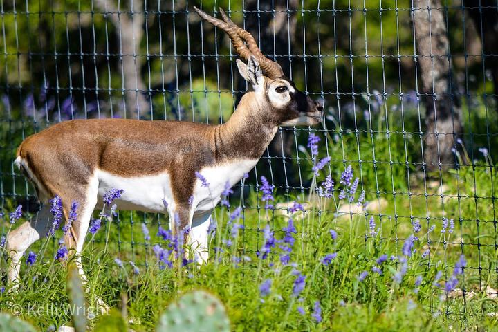 Hotel View 333 of 459
