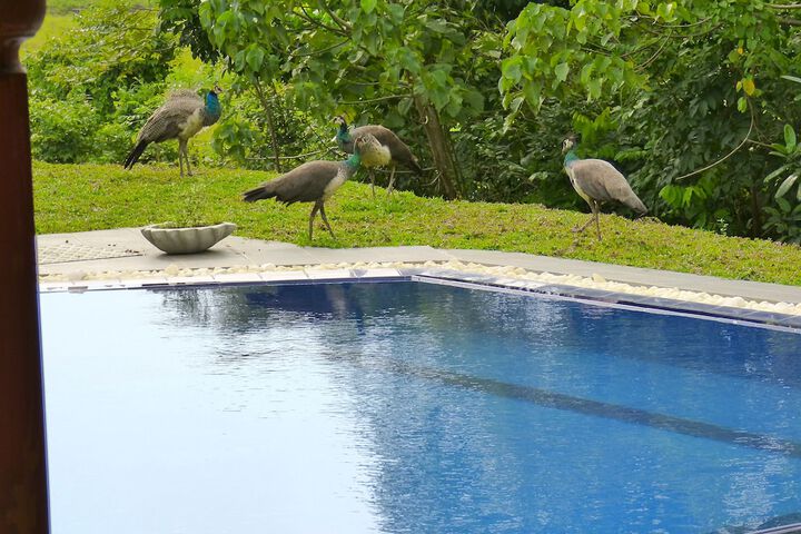 Pool 23 of 49