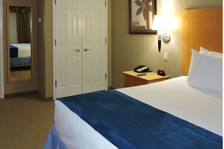 Deluxe King Bed (18 of 20)