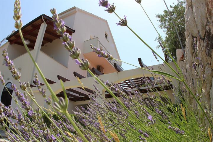 Hotel Exterior 55 of 62