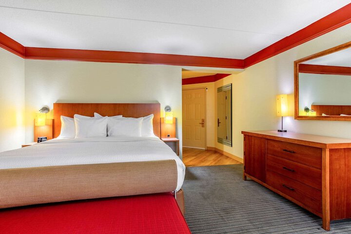 1 King Bed Deluxe Room (7 of 16)