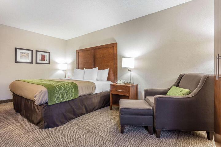 Standard | King Bed (4 of 11)