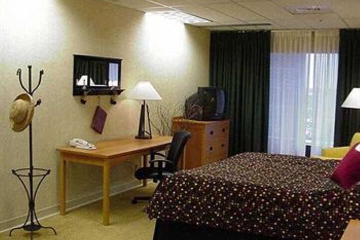 Standard Suite