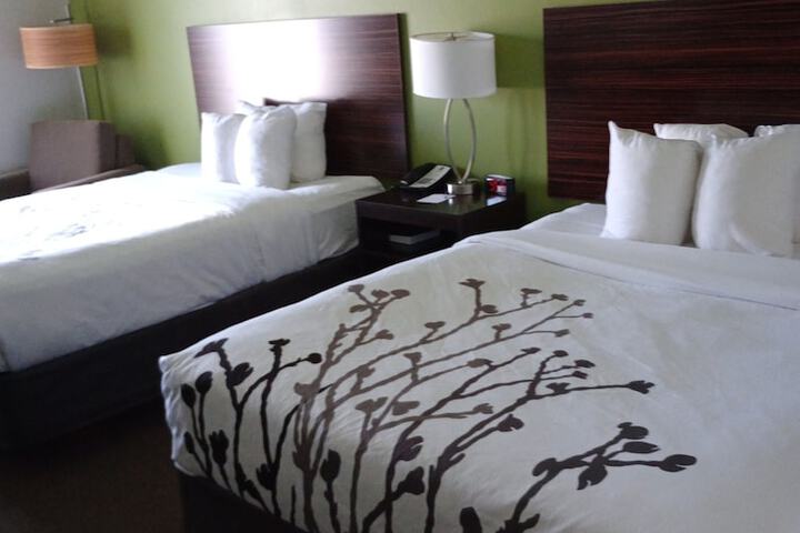 Room 15 of 51