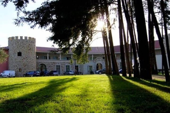 Image of Palace Hotel & Spa Termas de S. Tiago