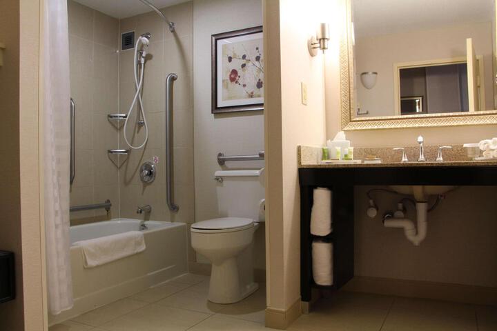 1 King Deluxe Mobility Accessible with Roll in Shower (4 of 12)