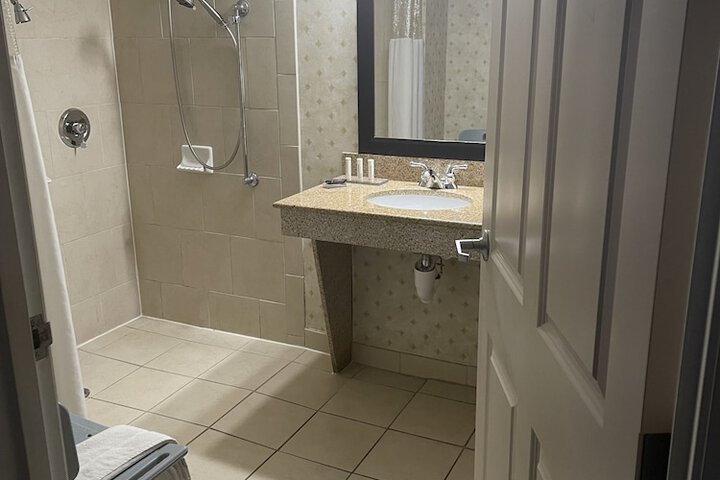 1 King Accessible with Roll in Shower (23 of 39)