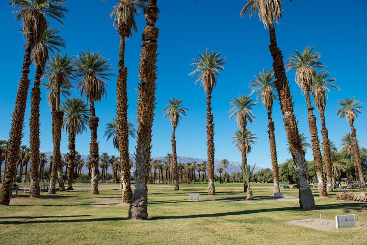 Property Grounds 42 of 58