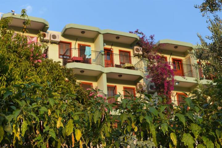 Hotel Exterior 63 of 68