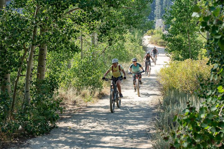 Health and Fitness 56 of 84