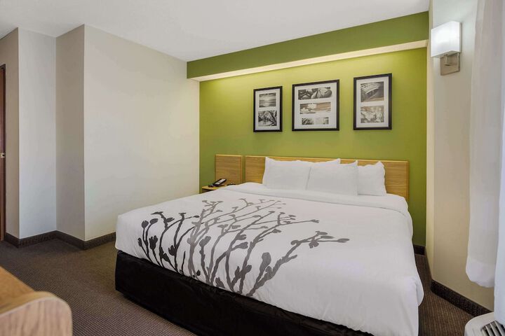 1 King Bed (7 of 11)