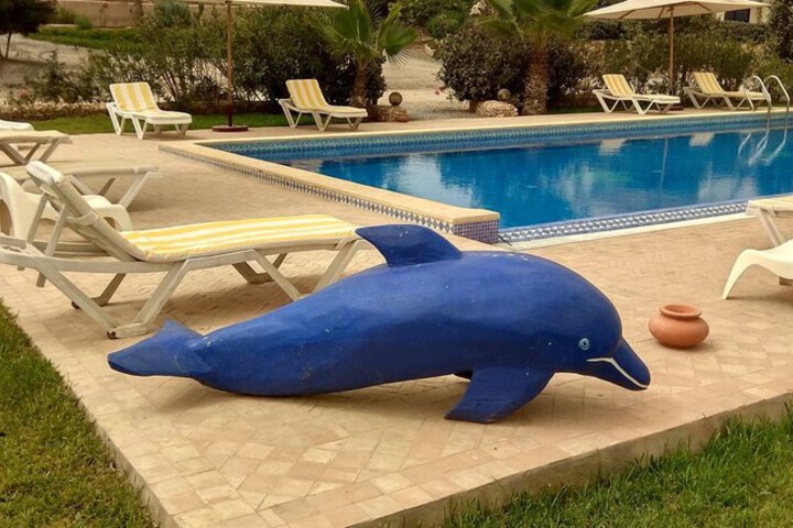 Pool 20 of 50
