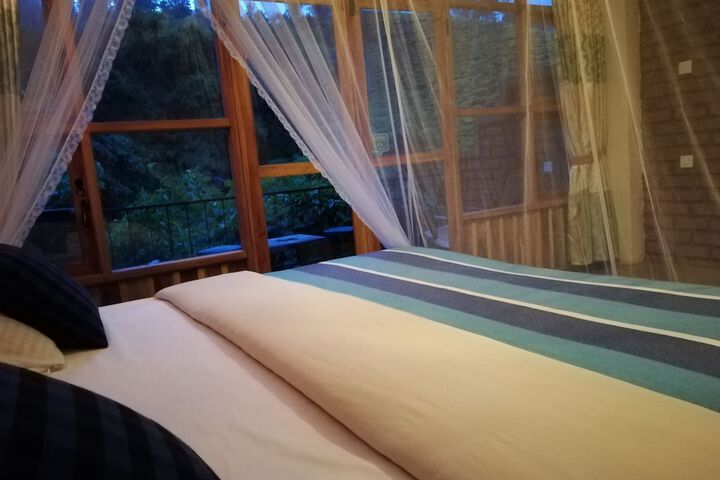 Room 5 of 50