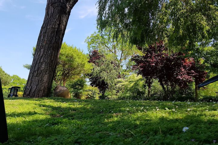 Property Grounds 49 of 71