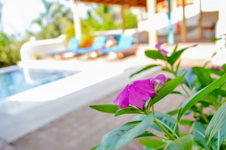 Pool 63 of 71