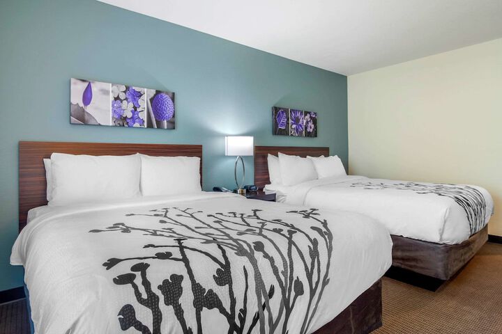 2 Queen Beds (2 of 9)
