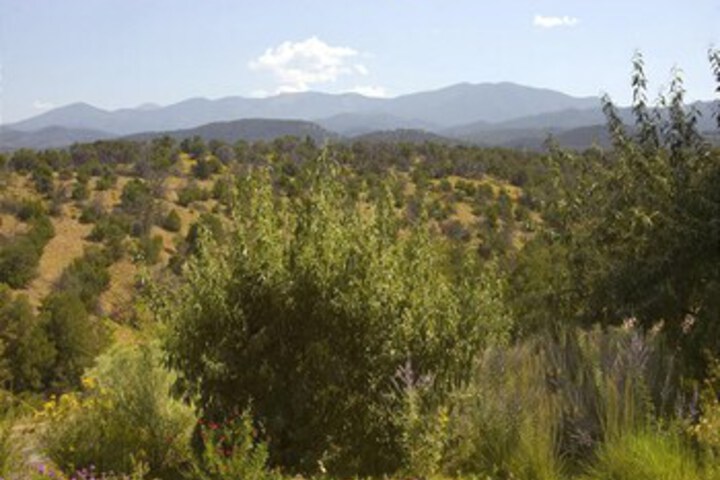 Property Grounds 23 of 35
