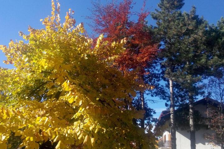 Photo 27