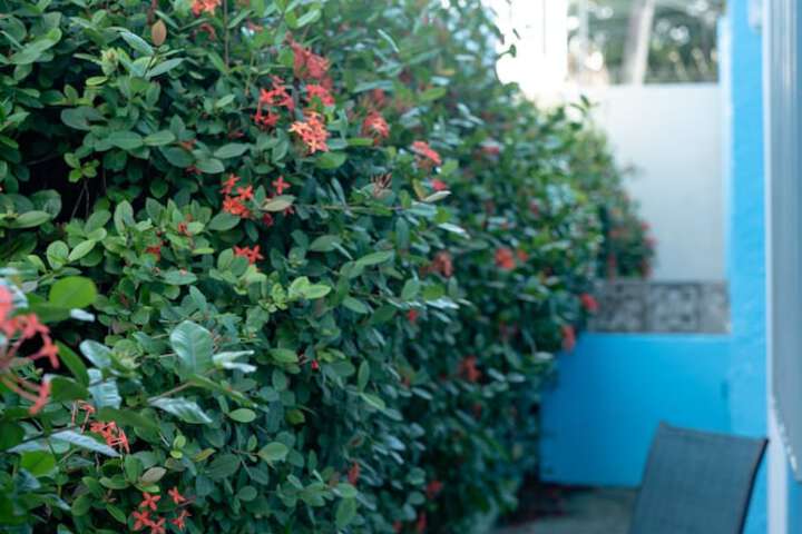 Terrace/Patio 126 of 190