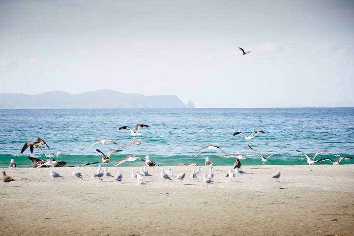 Beach 42 of 43