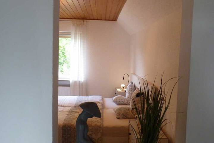 Room 6 of 54