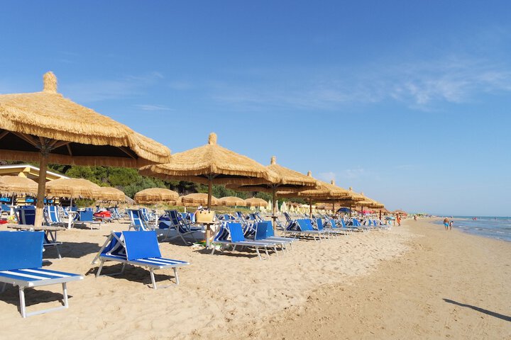 Beach 42 of 65