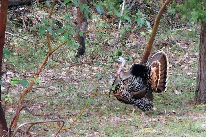 Property Grounds 23 of 33