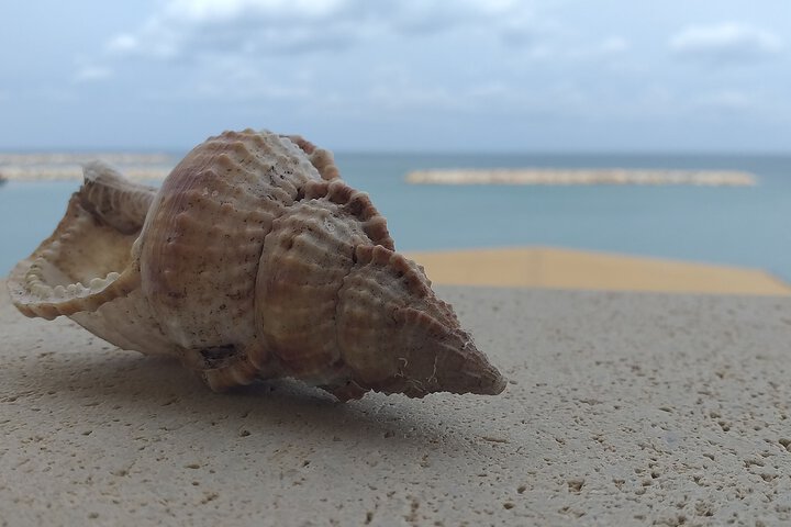 Beach 38 of 42
