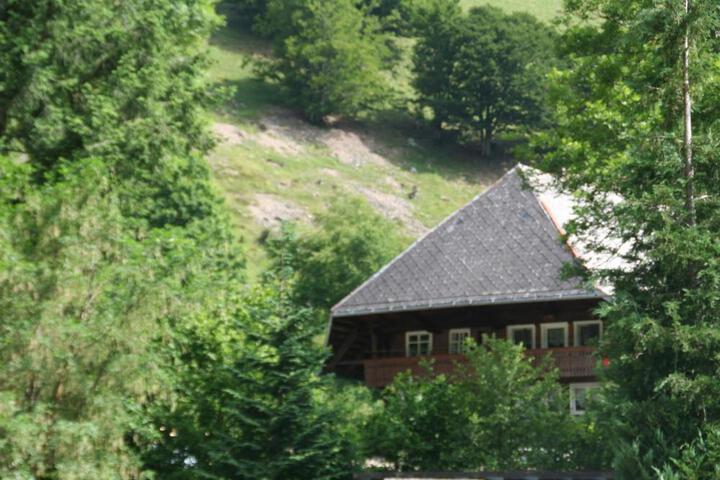 Photo 14
