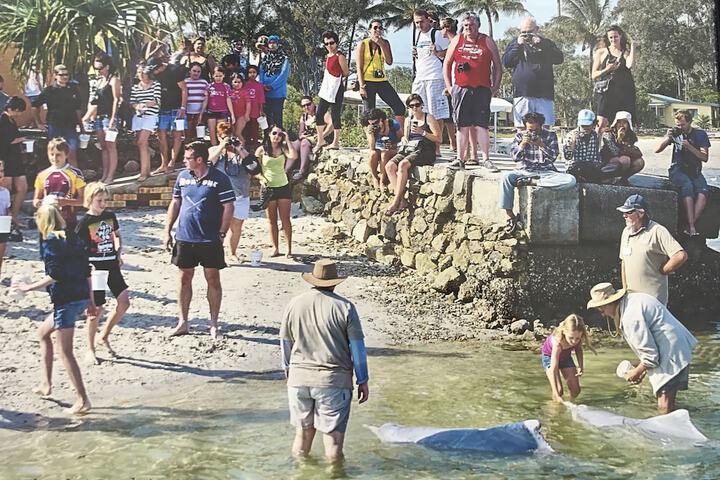 Property Grounds 27 of 28