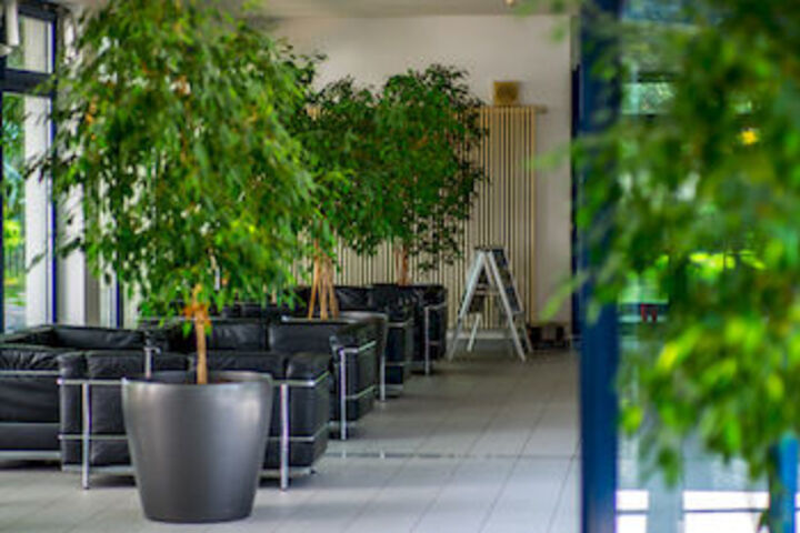 Lobby Photos