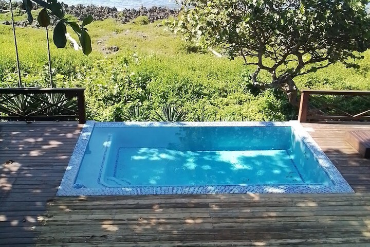 Pool 260 of 292
