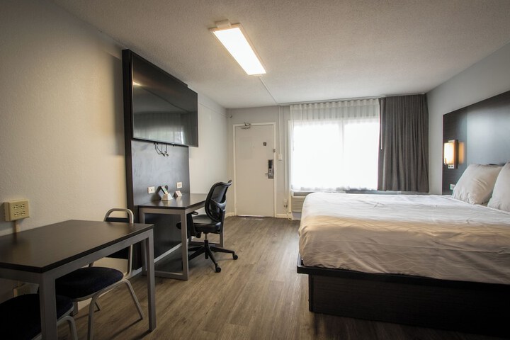 1 King Bed Pet Friendly Accessible (26 of 90)