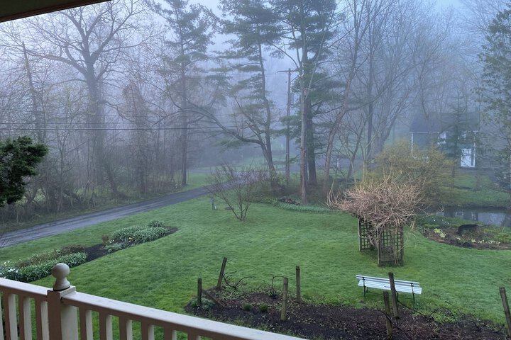 View from room