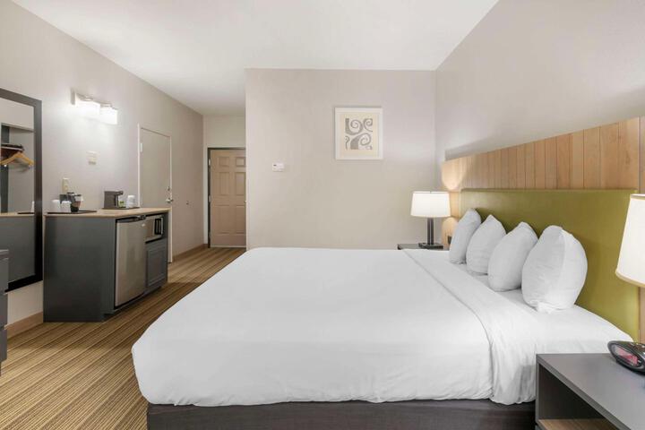 1 King Bed (17 of 20)
