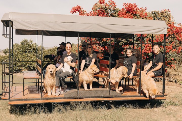 Pet Friendly 61 of 88