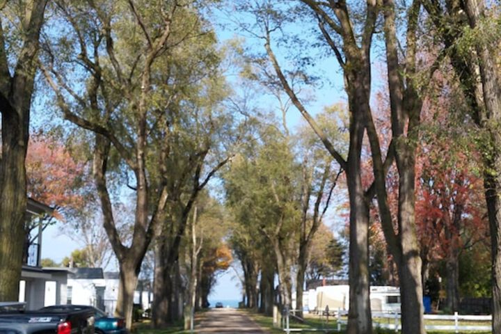 Property Grounds 101 of 104