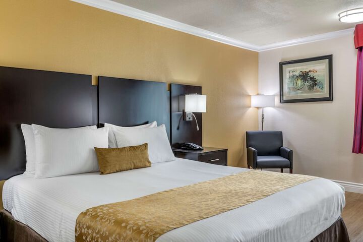 1 King Bed Refrigerator High Speed Internet Accessible Coffee Maker, Hairdryer Iron and Ironi (12 of 25)