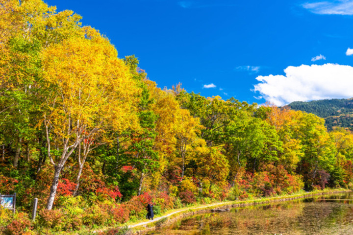 ・Autumn trekking is also recommended when the trees change color all at once.