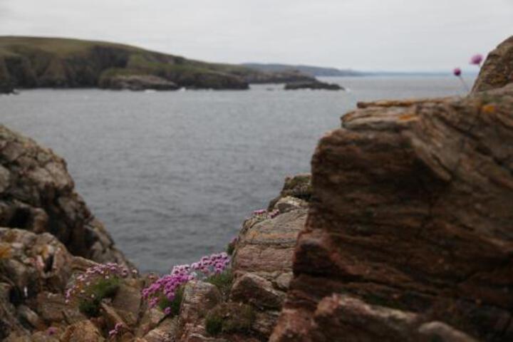 General 21 of 24
