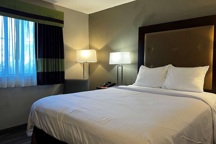 1 King Bed (7 of 11)