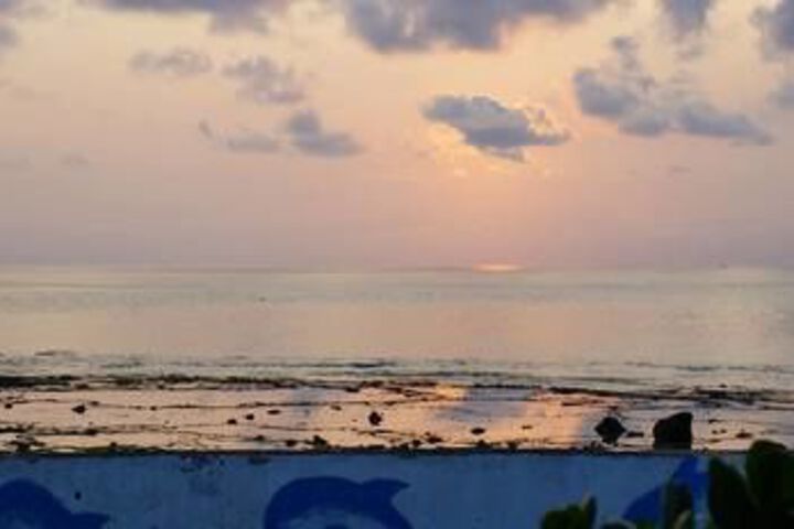 Beach or Ocean View