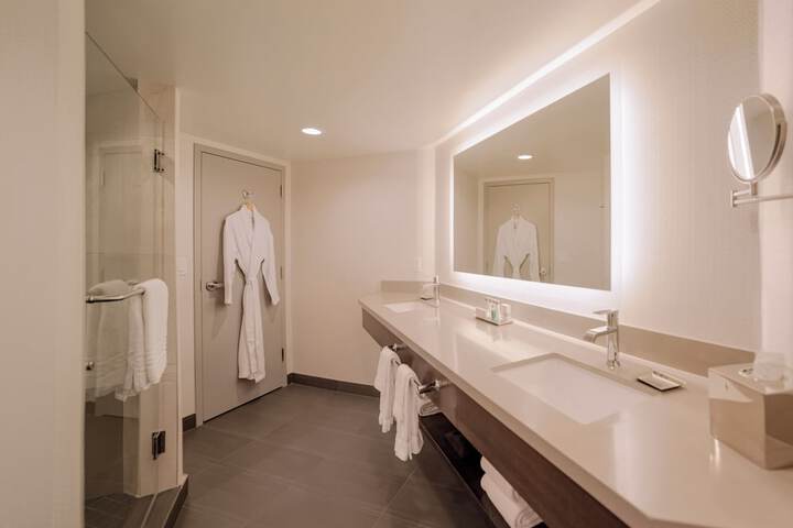 Deluxe Room 1 King (8 of 30)