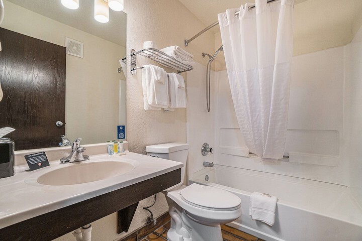 1 Queen Bed Mobility Accessible Roll in Shower (1 of 26)