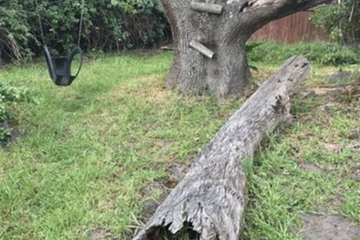 Property Grounds 11 of 11